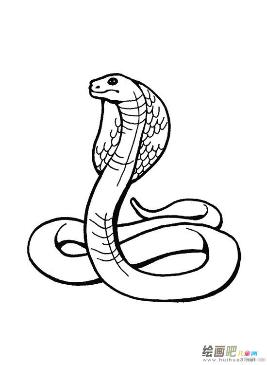 蛇的简笔画