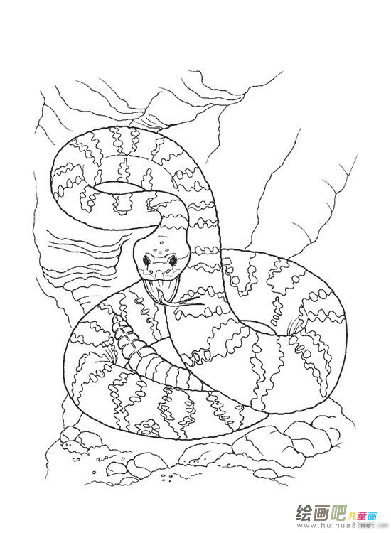 蛇的简笔画