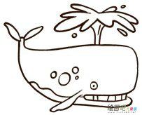 海洋生物简笔画：有趣的海洋生物展