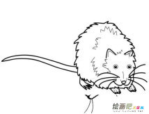 小老鼠简笔画：小老鼠学“滚”蛋