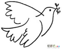 和平鸽简笔画：和平鸽的象征原因