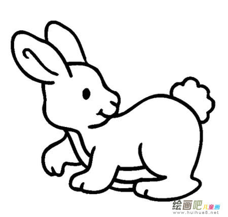 兔子
