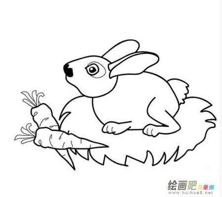 兔子