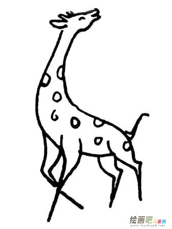 长颈鹿