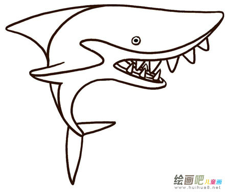海洋动物
