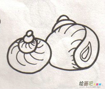 海洋动物