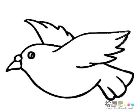 和平鸽