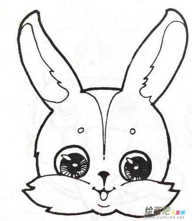 兔子