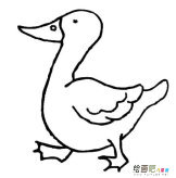 小鸭子简笔画：游泳健将