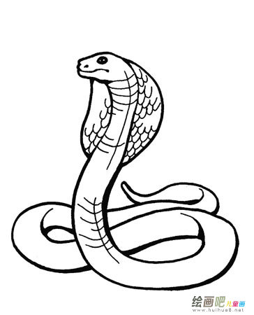 蛇