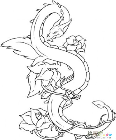 龙