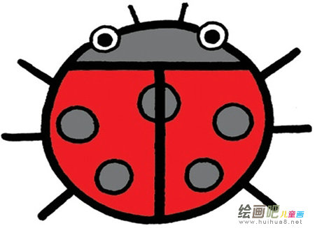 七星瓢虫