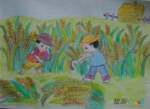 彩色铅笔画：丰收