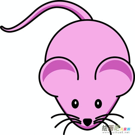 小老鼠