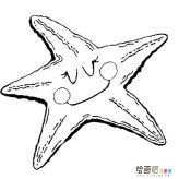 /jianbihua/dongwujianbi/50283.html