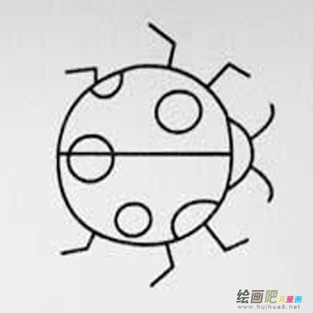 七星瓢虫