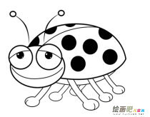 七星瓢虫简笔画：尊敬的七星瓢虫