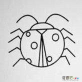 七星瓢虫简笔画：我是七星瓢虫