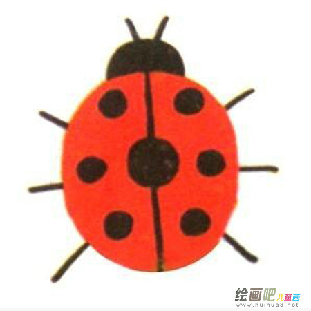 七星瓢虫
