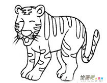 老虎简笔画：小动物们智斗老虎