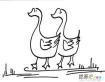 小鸭子简笔画：小鸭
