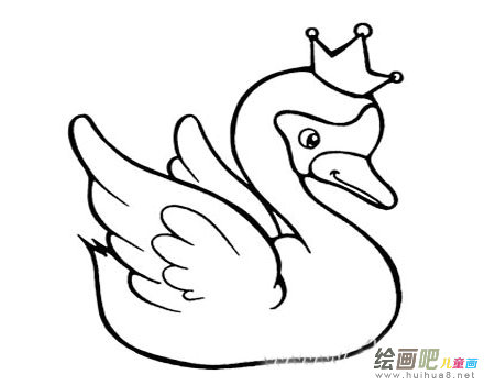 鸭子