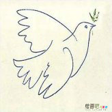 和平鸽简笔画：鸽子