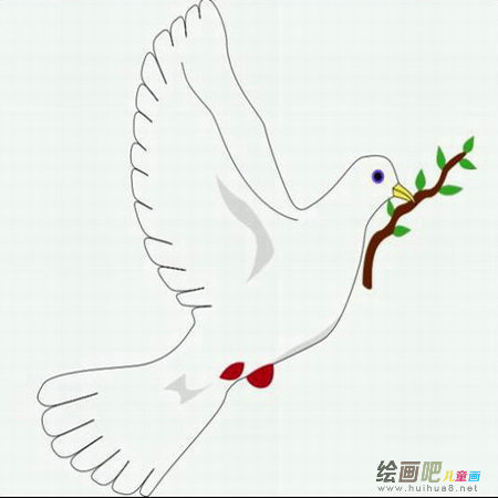 鸽子