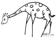 长颈鹿简笔画：长颈鹿吃东西简笔画