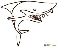 海洋生物简笔画：海中霸王