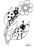 七星瓢虫简笔画：卡通七星瓢虫