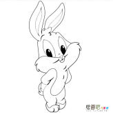 兔子简笔画：折耳兔
