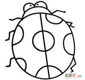 七星瓢虫简笔画：小瓢虫