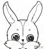 兔子简笔画：长耳兔