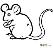 小老鼠简笔画：长尾巴老鼠