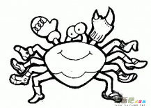 海洋生物简笔画：螃蟹