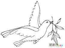 和平鸽简笔画：我变成了和平鸽