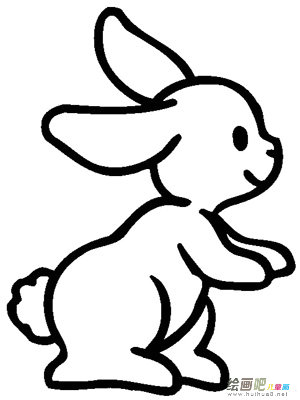兔子