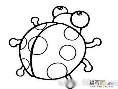 七星瓢虫