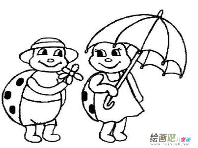 七星瓢虫