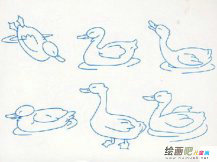 小鸭子简笔画：赶鸭子上架