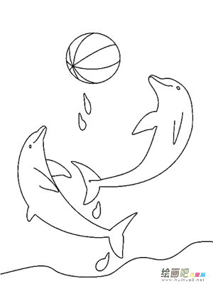 海洋
