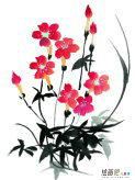 水彩画：红花