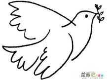 和平鸽简笔画：我是一只和平鸽