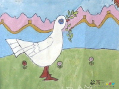 和平鸽