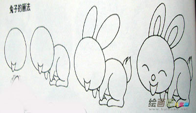 兔子