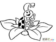 七星瓢虫简笔画：漂亮的七星瓢虫