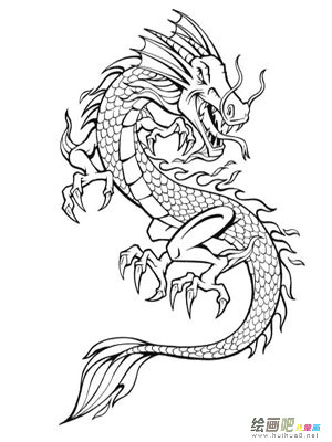 龙