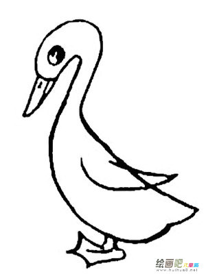 小鸭子