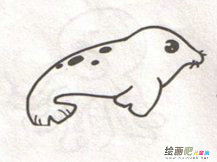 海洋生物简笔画：海狮